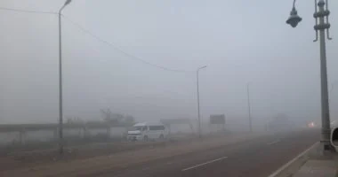 ضباب صباحي يؤثر على الطرق في الدقهلية هذا الأسبوع