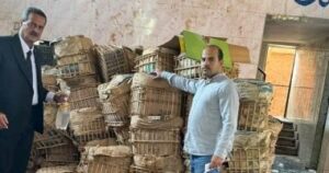 ضبط 10 أطنان دقيق بدون مصدر و7.5 طن تمور تالفة بالشرقية