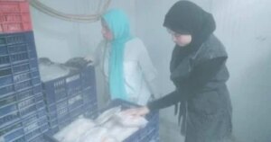 ضبط 1.6 طن سمان مجمد ولحوم غير مرخصة في كفر الشيخ