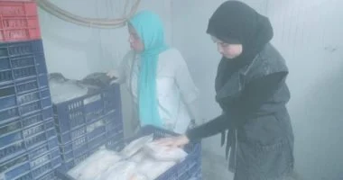 ضبط 1.6 طن سمان مجمد ولحوم غير مرخصة في كفر الشيخ