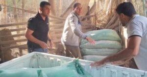 ضبط 24 شيكارة دقيق مدعم قبل بيعها في سوق دمياط السوداء