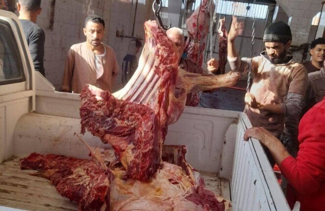 خبز ناقص الوزن ولحوم فاسدة.. ضبط 240 مخالفة تموينية في المنيا