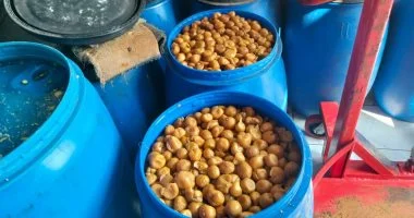 ضبط 30 طن سلع غذائية غير معروفة المصدر في كفر الشيخ