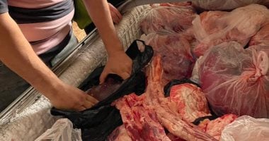 ضبط 5.4 طن دجاج وشاورما فاسدة في الدقهلية للاستهلاك.