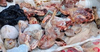 ضبط 75 طن لحوم وكبدة فاسدة في حملة كبيرة بالقليوبية