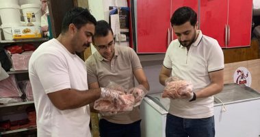 ضبط ربع طن أسماك و300 كيلو دواجن فاسدة بالغربية