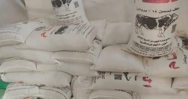 ضبط مستودعات في الغربية لتلاعبها بأسعار الغاز والسلع المجهولة.