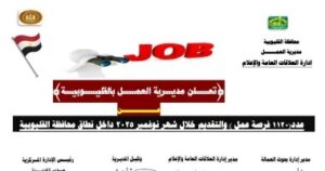 طرح 1120 فرصة عمل جديدة بالقليوبية تعرف على كيفية التقديم
