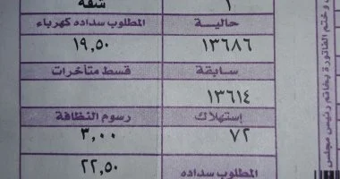 استعلم عن فاتورة الكهرباء إليكترونيا بهذه الطريقة