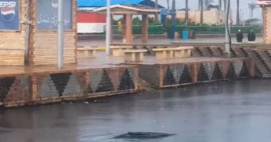 طقس سيئ وتحذيرات من البرق والرعد في كفر الشيخ اليوم.