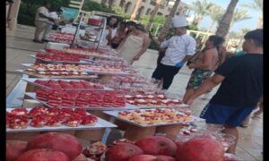 فنادق الغردقة تحتفل باليوم العالمي للرمان وسط إقبال سياحى كبير فنادق الغردقة تحتفل باليوم العالمي للرمان وسط إقبال سياحى كبير