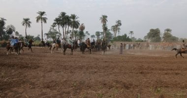 في كل بيت خيال.. الشيخية بقنا تحافظ على تنظيم مرماح الخيل منذ قرن