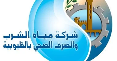 لا يعكس الفيديو المتداول لموظفة القليوبية الحقيقة كاملة.