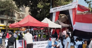 لجان العجوزة توقف التصويت وتستأنف العمل بعد ساعة الراحة