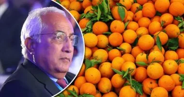 ارتفاع المبيعات وما جابش فايدة.. البرتقال يطيح بأرباح صفوان ثابت