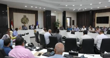 محافظ أسوان يؤكد ضرورة تنفيذ تراخيص أبراج المحمول بكفاءة عالية