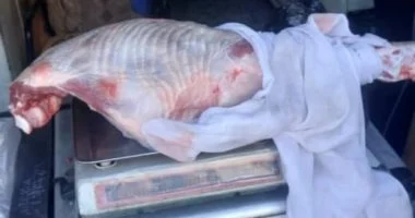 محافظ أسيوط: تعزيز الرقابة على الأسواق والمخابز لضبط الأسعار اليومية والتأكد من الالتزام.