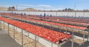 محافظ الأقصر ورئيس هيئة التنمية الصناعية يشهدان افتتاح مجمع للصناعات الغذائية.