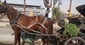 محافظ الأقصر يتفقد التزام النظافة والمسار السياحي في الأقصر والقرنة