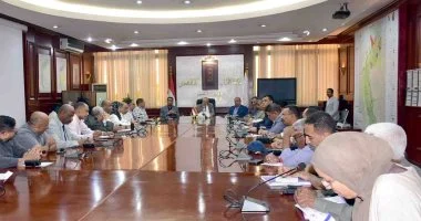 محافظ الأقصر يعلن رفع الاستعدادات القصوى لانتخابات مجلس النواب المقبلة