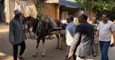 محافظ الدقهلية يجري جولة مفاجئة بقرية البجلات لتوجيه بتحسين الخدمات والنظافة