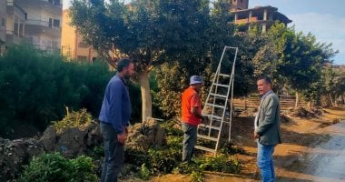 محافظ الدقهلية يراقب أداء الوحدات المحلية لتحسين خدمات النظافة