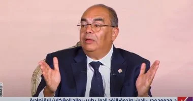 محيي الدين: إصلاح معايير الإفصاح العالمية لتمكين إفريقيا من الاستثمار المستدام