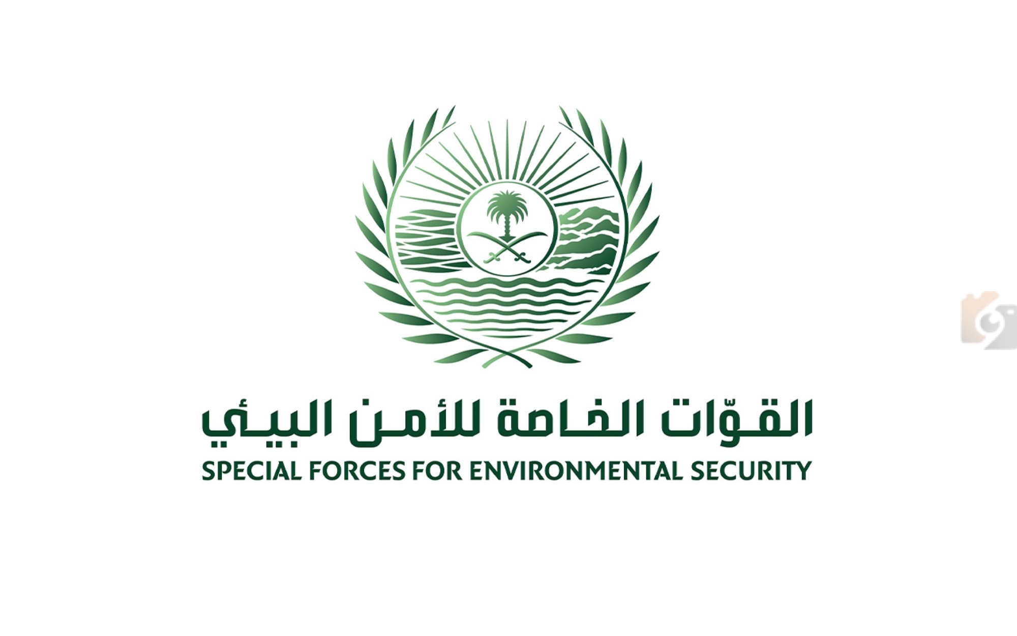 مخالفات البيئة