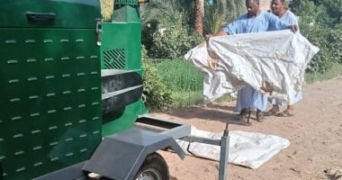 مزارعو أسوان يستخدمون المخلفات النباتية لإنتاج السيلاج كبديل للأعلاف