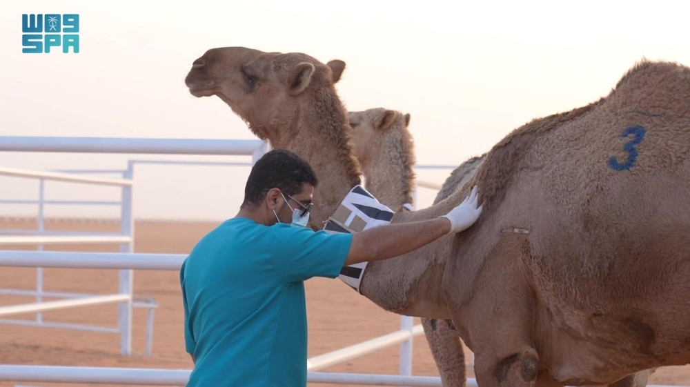 مسح شامل يكشف عن 32 مرضًا حيوانيًا يؤثر على الصحة العامة والبيئة