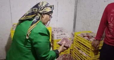 مصادرة 2 طن من الكفتة والحواوشي مجهولة المصدر بحملة في شبين القناطر