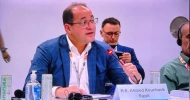 كجوك: مصر تستثمر في المستقبل بمشروعات تنموية أكثر استدامة وتكيفا مع المناخ