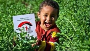 معاش تكافل وكرامة 2025.. رابط استعلام بالرقم القومي عن الأسماء الجدد