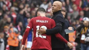 نجوم الشاب تتألق في سماء الفن وتلامس الأحلام المنشودة