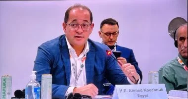 وزير المالية: نتطلع لدور أكبر للمؤسسات الدولية فى التمويل الأخضر الميسر