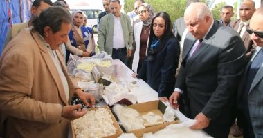 وزيرة التضامن تدشن مشروع نخيل خيري وتتفقد إنتاج الحرير بالصور